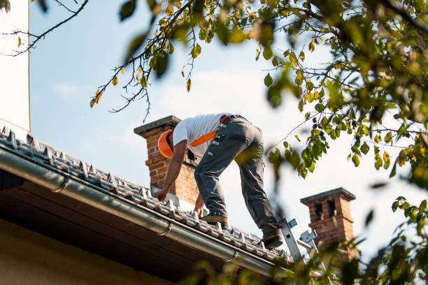 Best Flat Roofing  in Portage, IN