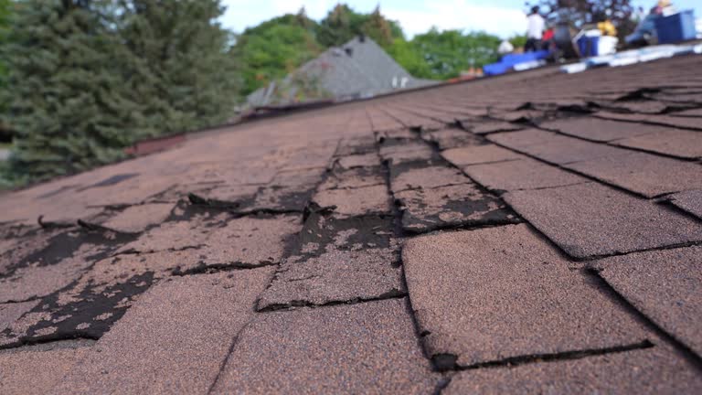 Best Rubber Roofing (EPDM, TPO)  in Portage, IN