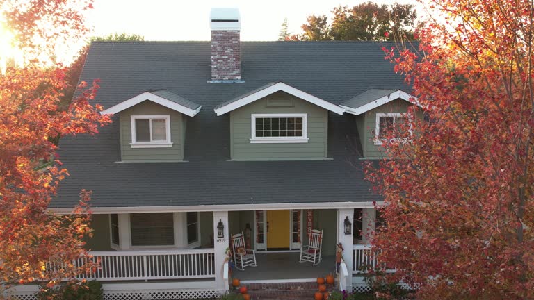 Best Asphalt Shingle Roofing  in Portage, IN