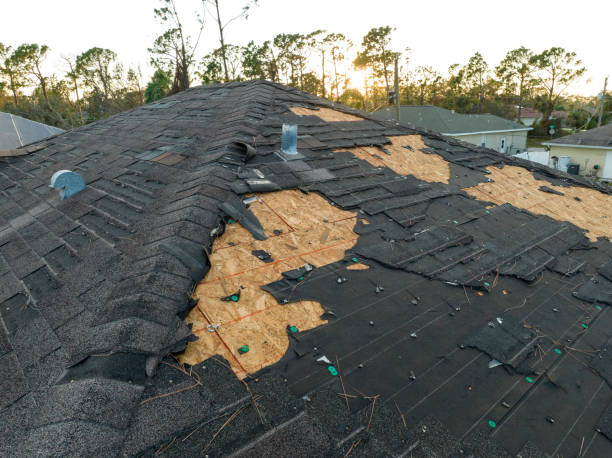 Best Roofing for New Construction  in Portage, IN