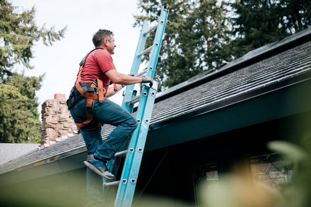 Steel Roofing in Portage, IN