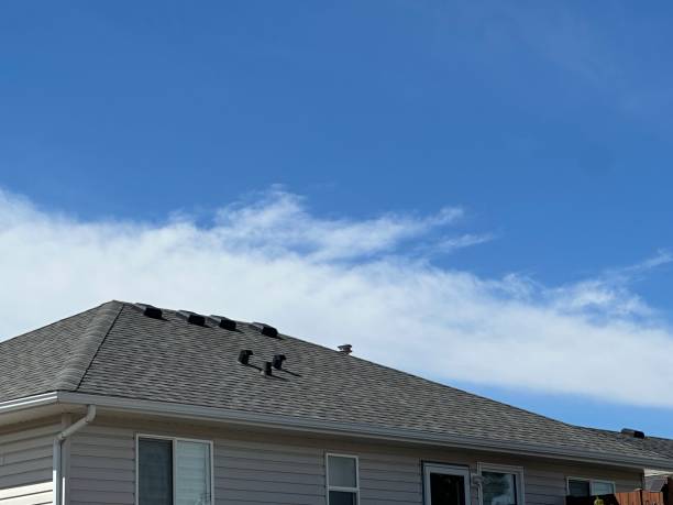 Best Skylight Installation and Repair  in Portage, IN